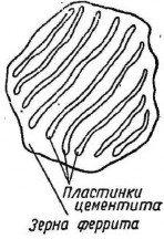 Виды зёрен